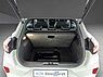 Ford Puma Hybrid ST-Line X