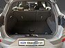Ford Puma ST-Line