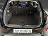 Ford Puma Titanium
