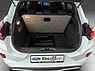 Ford Puma ST-Line